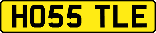 HO55TLE