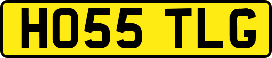 HO55TLG