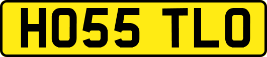 HO55TLO