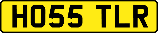 HO55TLR