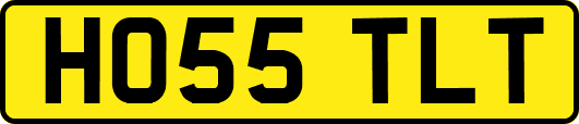 HO55TLT