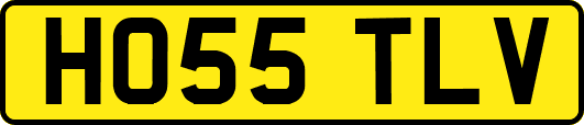 HO55TLV