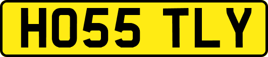 HO55TLY