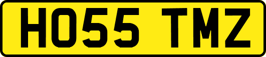 HO55TMZ