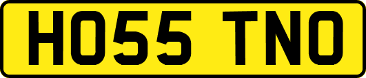 HO55TNO