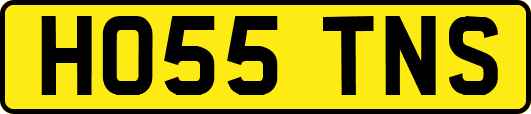 HO55TNS