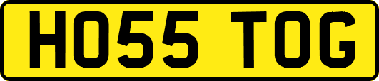 HO55TOG