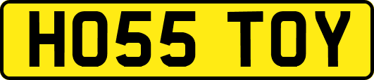 HO55TOY