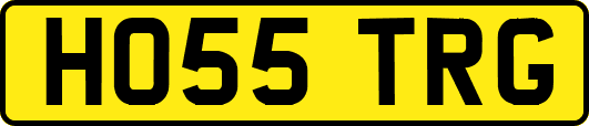 HO55TRG