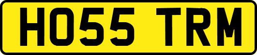 HO55TRM
