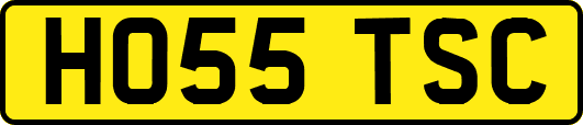 HO55TSC