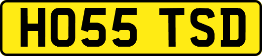 HO55TSD
