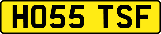 HO55TSF
