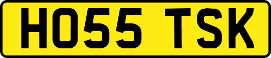 HO55TSK