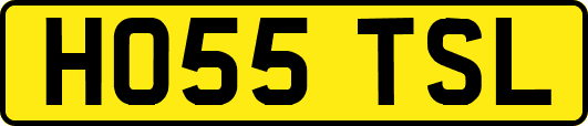 HO55TSL
