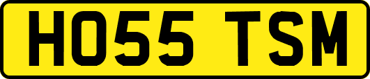 HO55TSM
