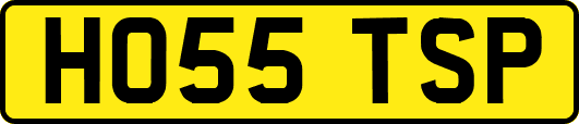 HO55TSP
