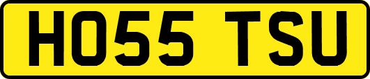 HO55TSU