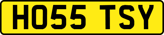 HO55TSY