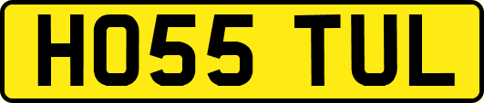 HO55TUL