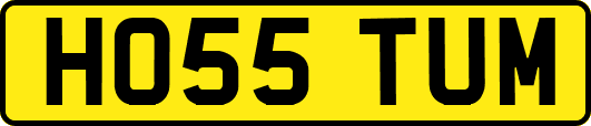 HO55TUM
