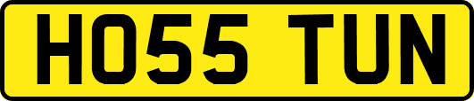 HO55TUN