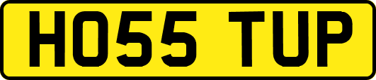 HO55TUP