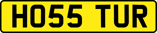 HO55TUR