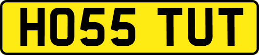 HO55TUT