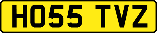 HO55TVZ