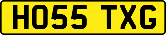 HO55TXG