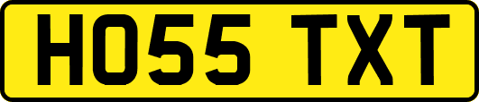 HO55TXT