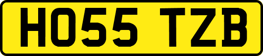 HO55TZB