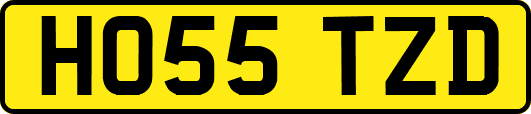HO55TZD