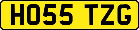 HO55TZG
