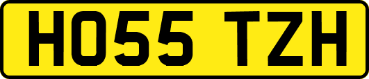 HO55TZH