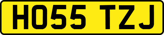 HO55TZJ