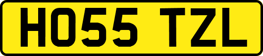 HO55TZL