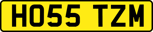 HO55TZM