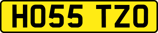 HO55TZO