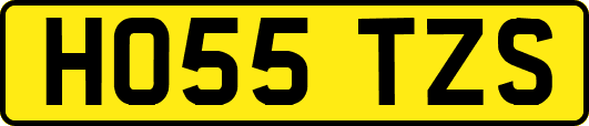 HO55TZS