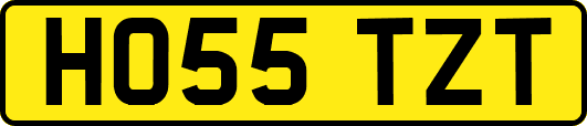 HO55TZT