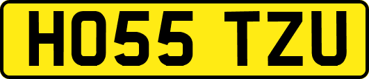 HO55TZU