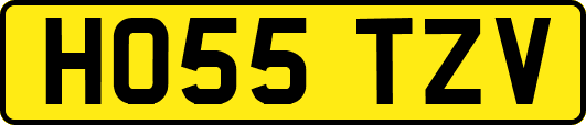 HO55TZV