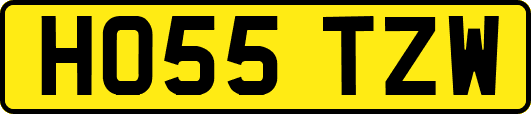 HO55TZW