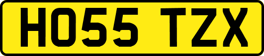 HO55TZX