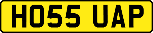 HO55UAP