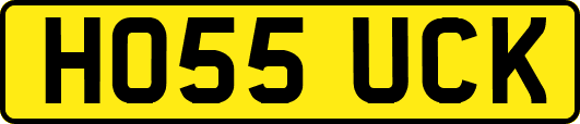 HO55UCK