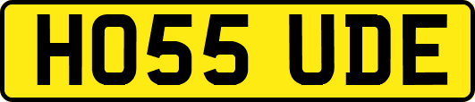 HO55UDE