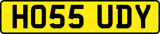 HO55UDY